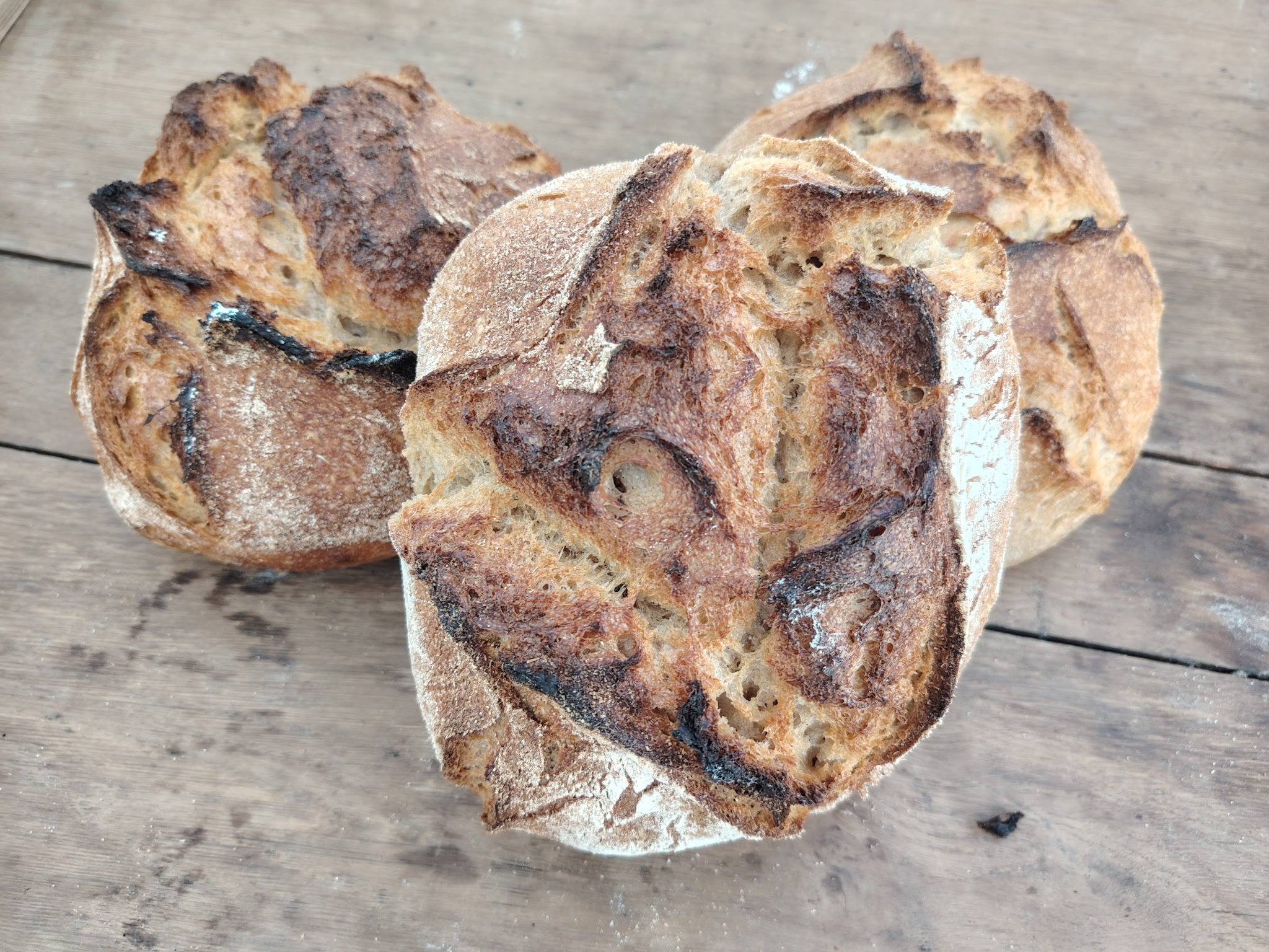 Tourte de gouape