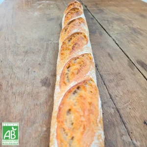 Baguette Triticum