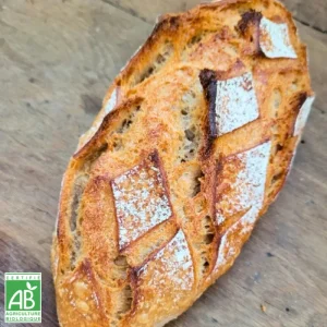 Pain aux épeautres