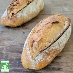 Pain Triticum