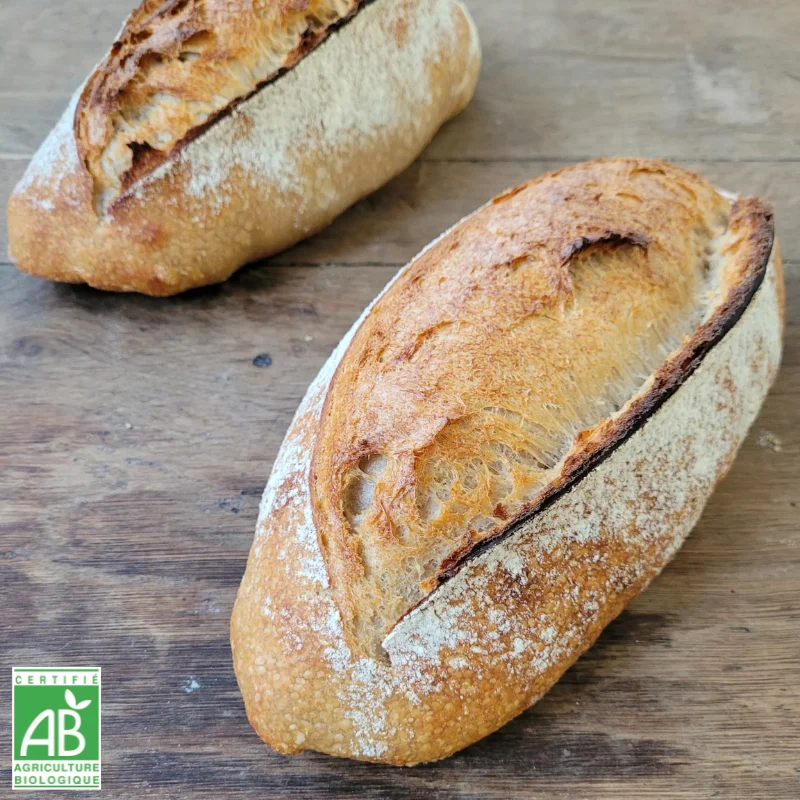 Pain Triticum